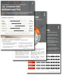 Beispielhafter Auszug aus dem LPP Ergebnisreport LINC PERSONALITY PROFILER Charaktereigenschaften Persönlichkeitsanalyse