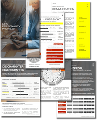 Beispielreport LINC PERSONALITY PROFILER LPP Auszug