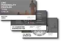 Auszug aus dem LPP TEAM CHECK LINC PERSONALITY PROFILER